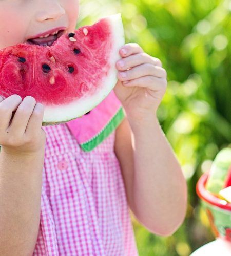 PROVOZ MŠ V PRŮBĚHU LETNÍCH PRÁZDNIN 2023