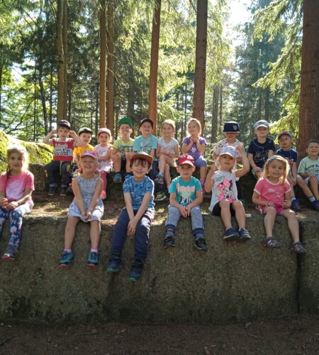 Motýlci a organizace aktivit v rámci rozvoje všech inteligencí