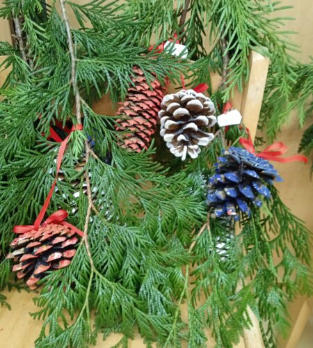 Berušky Adventní čas